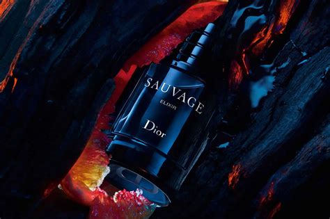 sauvage christian dior elixir|Dior Sauvage Elixir boots.